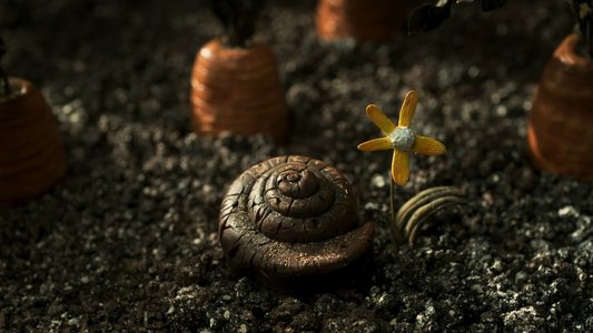 Memoir of a Snail