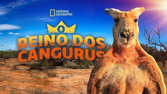 The Kangaroo King