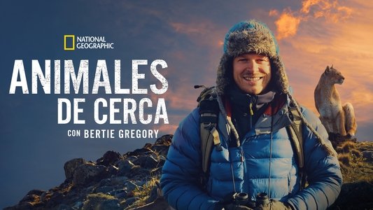 Animals Up Close with Bertie Gregory