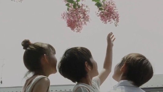 歩いても 歩いても
