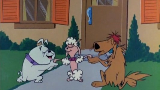 Thumbnail image for Poodle Pandemonium