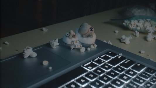 Marcel the Shell with Shoes On