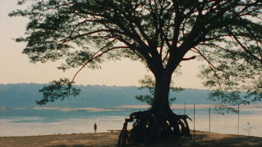 ผีใช้ได้ค่ะ