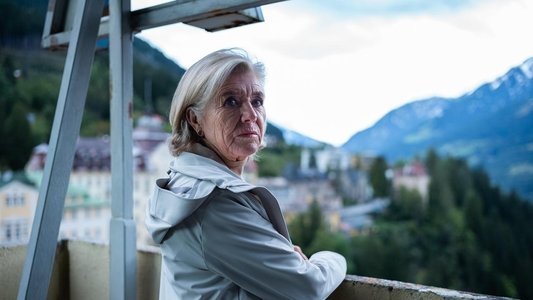Der Geier – Freund oder Feind