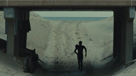 The Surf Report