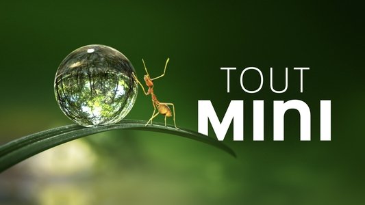 Tiny World