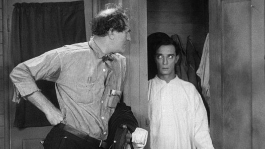 Steamboat Bill, Jr.