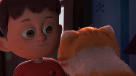 Kid Cat