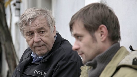 Záblesky chladné neděle