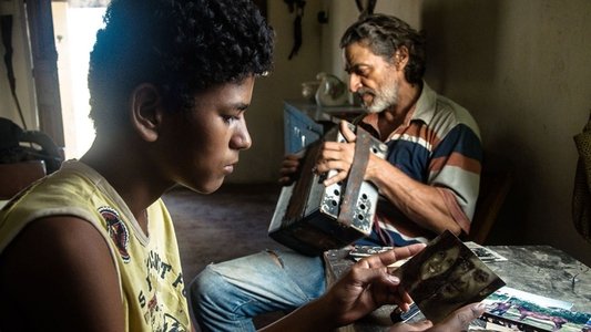 Filho de Boi