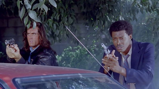 Samurai Cop