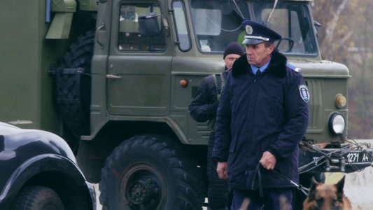 Безсмертник