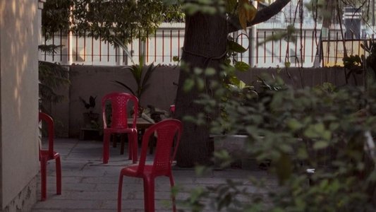 चार फूल हैं और दुनिया है