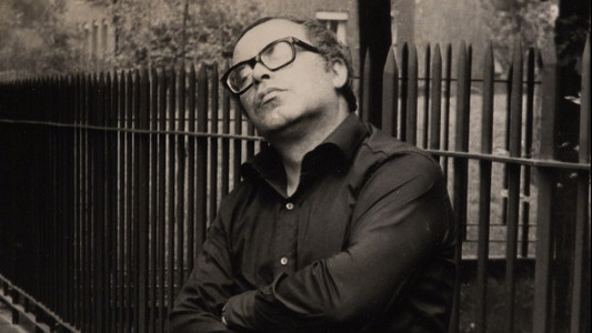 Un milanese a Milano - Walter Valdi