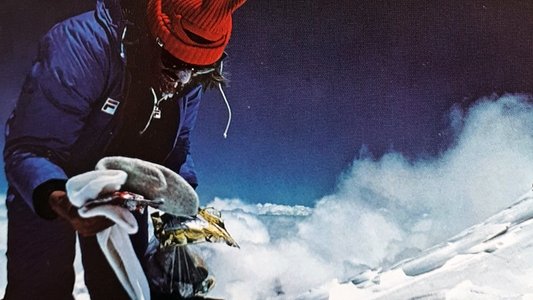 Everest Unmasked