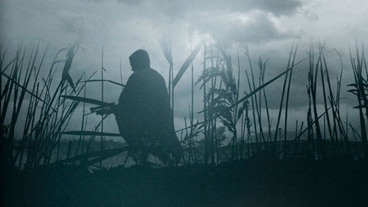 The Reeds