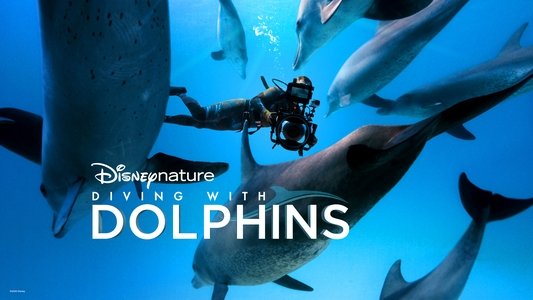 Diving with Dolphins