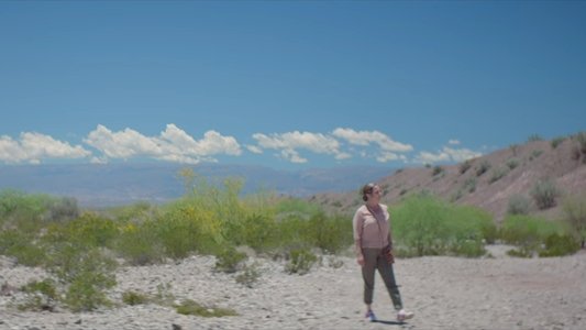 La novia del desierto
