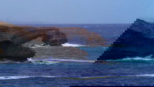 Psychic Migrations
