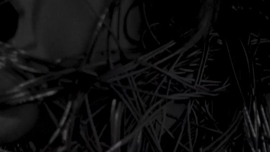 The String That Binds Me
