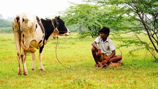வாழை
