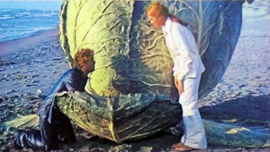 Paolo Barca, maestro elementare, praticamente nudista