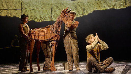National Theatre at Home: War Horse