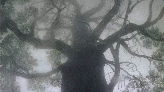 Ёжик в тумане