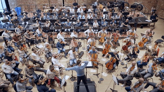 Nous, l'Orchestre