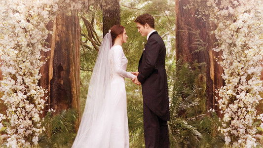 The Twilight Saga: Breaking Dawn - Part 1