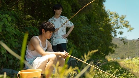 这个夏天结束前
