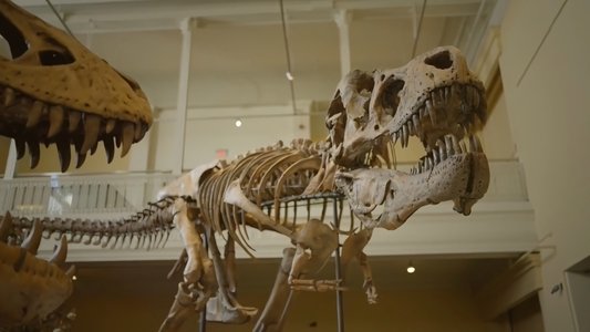 Greatest Discoveries with Dan Snow