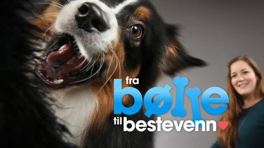 Fra bølle til bestevenn