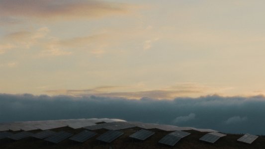 Sonnenkönigin