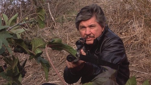 Death Wish 4: The Crackdown