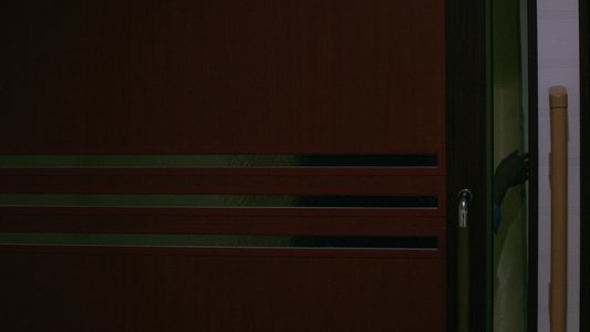 不能犯