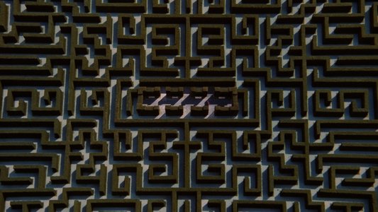The Shining