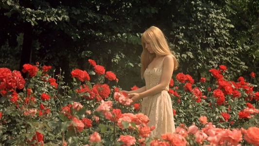 La Faute de l'abbé Mouret