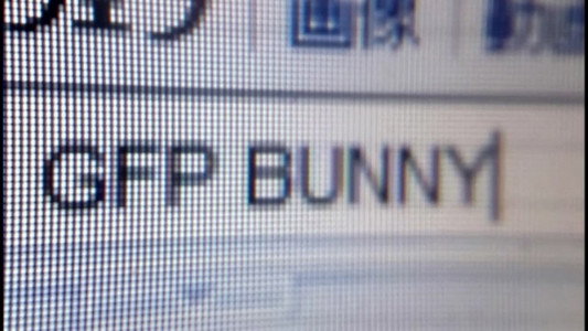 GFP BUNNY─タリウム少女のプログラム─