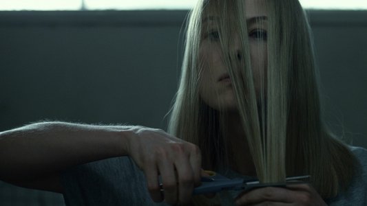 Gone Girl