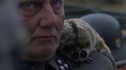 Иди и смотри