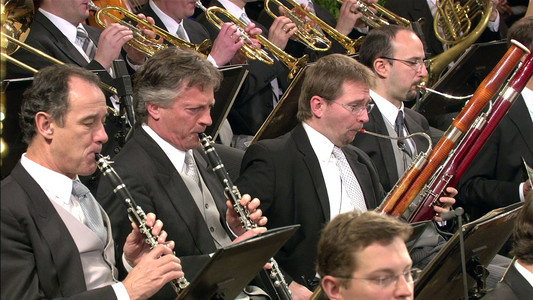 Neujahrskonzert der Wiener Philharmoniker 2009