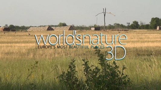 World's Nature 3D