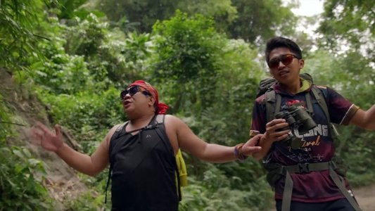La selva maya: Cuando un tapir te observa