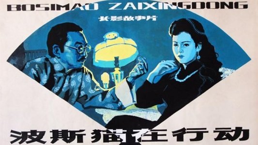 波斯猫在行动
