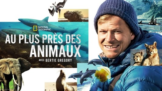 Animals Up Close with Bertie Gregory