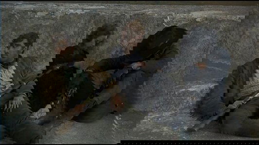 Il tempo degli avvoltoi