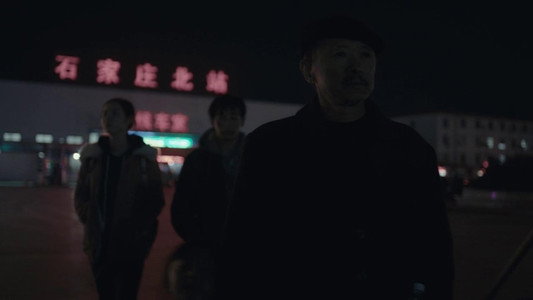 大象席地而坐