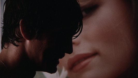 Star 80