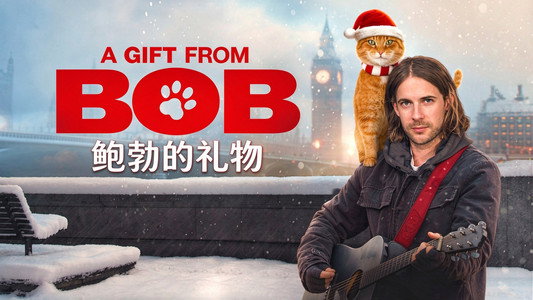 A Christmas Gift from Bob